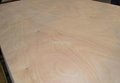 Plywood for Decoration for Furniture for Construction 2