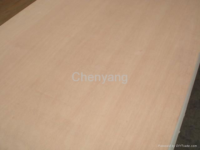 Plywood for Decoration for Furniture for Construction 3