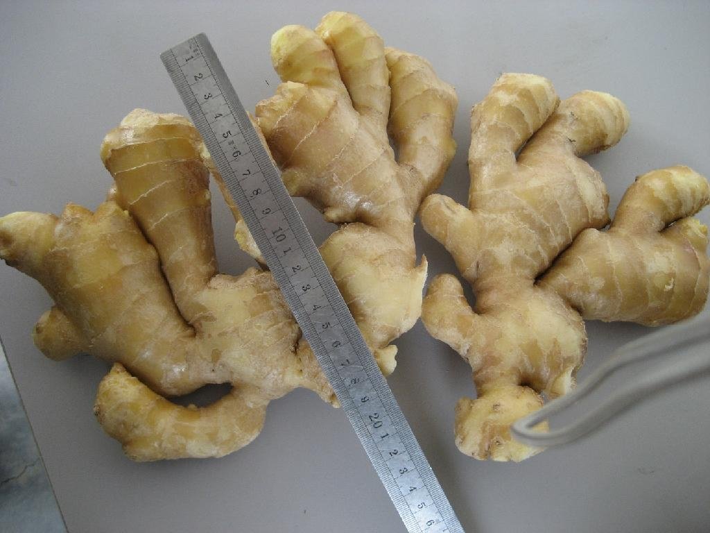 AIR DRIED GINGER