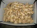 AIR DRIED GINGER 3