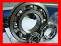 Deep Groove Ball Bearing 1