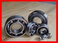 Deep Groove Ball Bearing 1