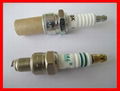 Aoto Spark Plug