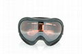 Ski Goggles