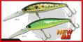 fishing baits