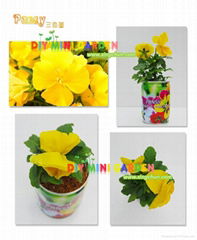 Novelty DIY Can Plants mini plants mini garden gardening