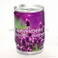 Novelty DIY mini plants garden--lavender 3