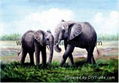 Animal elephant oil painting art craft     1