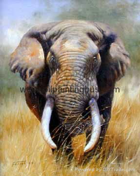 Animal elephant oil painting art craft     5