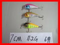 Hard Plastic Lure 1