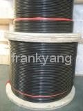 7x7 PVC Coated Stainless Steel Wire Rope