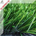 Football Artificial Grass 1