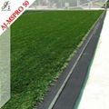 Football Artificial Grass 4