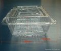 disposable blister transparent sushi container 3