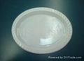 MSPS001-S Disposable plastic food tray 1