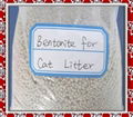 Bentonite Cat Litter 2