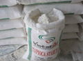 Tapioca Starch 1