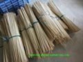 Bamboo Stick 1