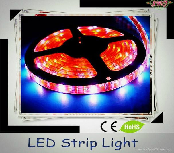 3528 Flexible led strip(60 LED/Metre) 12V waterproof 2