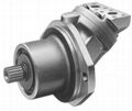 Rexroth A2FE series plug-in motor