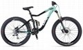 Giant Reign SX Bicycle 1