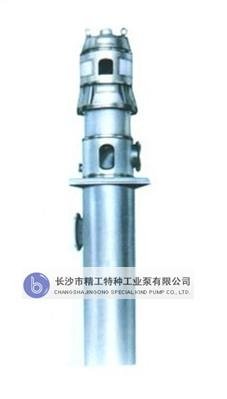 250LDTN-150X5立式凝结水泵
