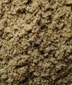 fishmeal