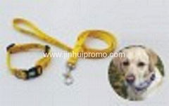 polyester pet leash/collar