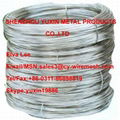 Eletro Galvanized Wire 8#--38# Q195 4