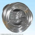 Eletro Galvanized Wire 8#--38# Q195 5