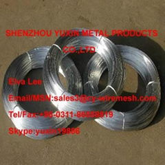 Hot-Dipped Galvanized Wire 8#--38#