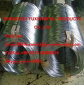 Hot-Dipped Galvanized Wire 8#--38# 2