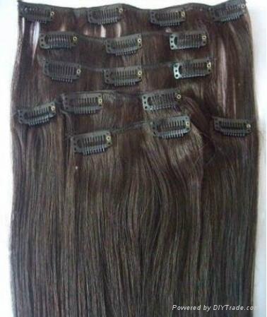 Top quality 100% remy human clip in hair extension 2