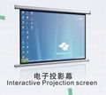 Interactive Electronic Projection Screen