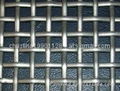 Heavy crimped wire mesh