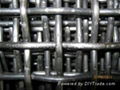 Heavy crimped wire mesh  2