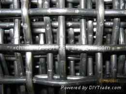 Crimped Wire Mesh 3