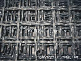 Crimped Wire Mesh 5