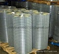 Welded Wire Mesh 1