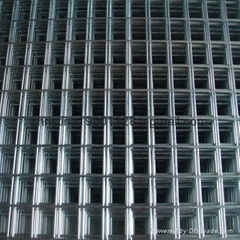 Welded Wire Mesh