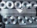 Welded Wire Mesh 5