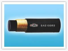 SAE100R5 Braided hose 