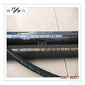DIN-4SP Winding hose 3