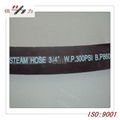 Steam Hose 2