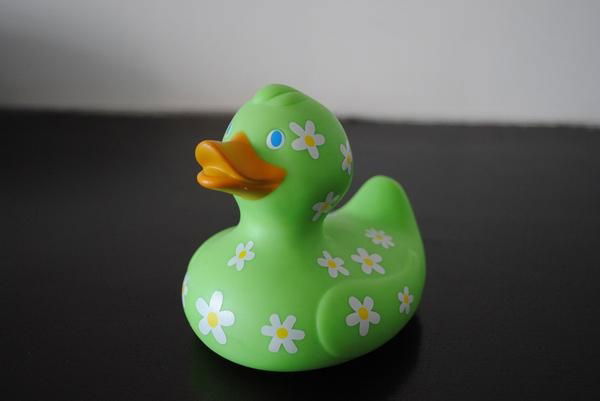 vinyl duck 1