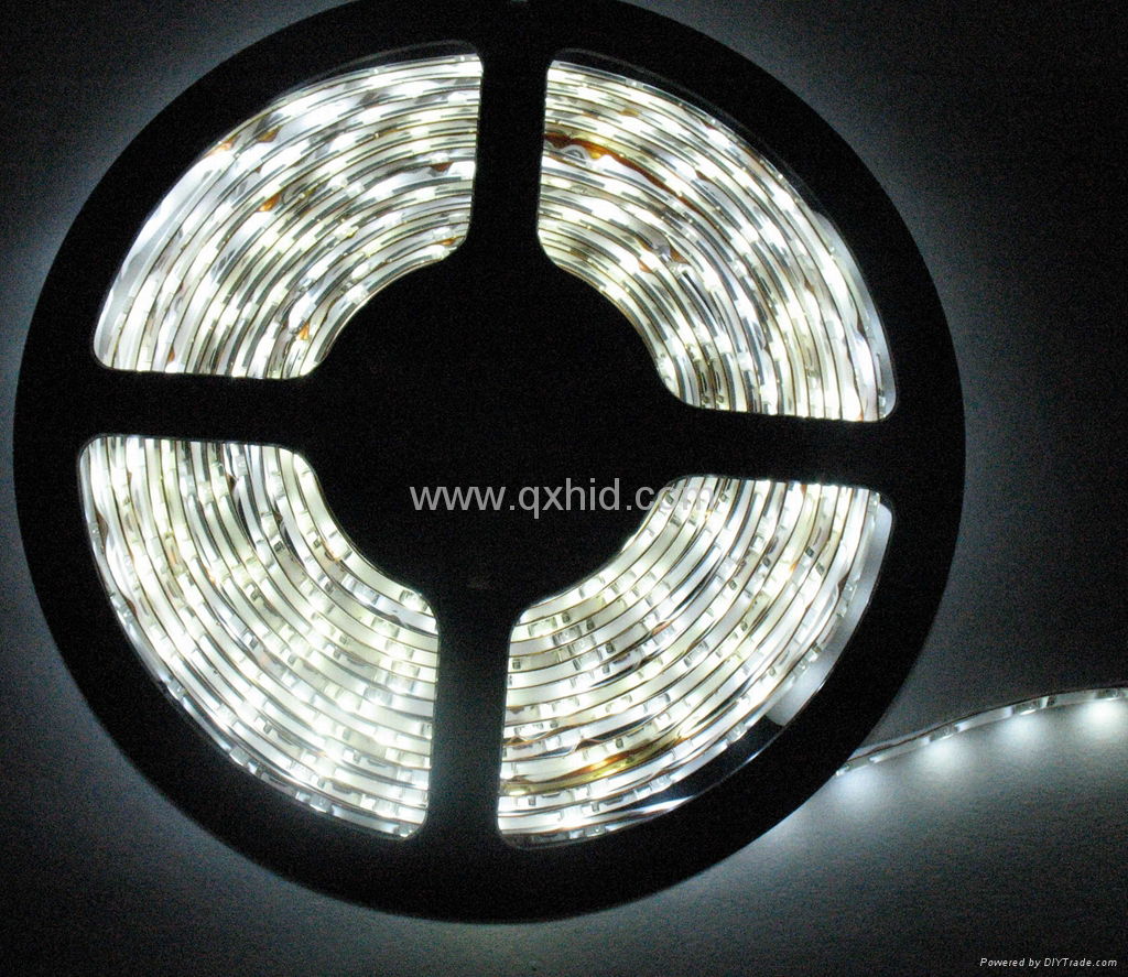 Cool White 5M Waterproof 300 LED 3528 SMD Flexible LED Light Lamp Strip DC 12V