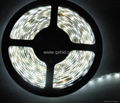 Cool White 5M Waterproof 300 LED 3528 SMD Flexible LED Light Lamp Strip DC 12V 1