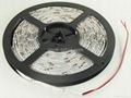 Cool White 5M Waterproof 300 LED 3528 SMD Flexible LED Light Lamp Strip DC 12V 3