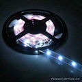 SMD Ribbon LED Strip Light 1