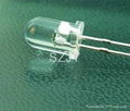 Blue And White Flash LED Diode 1